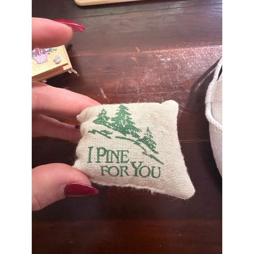 Vintage American Girl Doll Samantha Accessories Flower Press, Piney Point & More